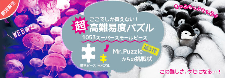 Mr.Puzzleからの挑戦状 Vol.3