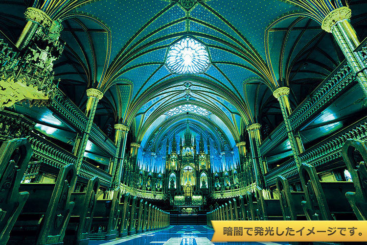 EPO-12-503　風景　輝く ノートルダム聖堂-カナダ　1000ピース　ジグソーパズル