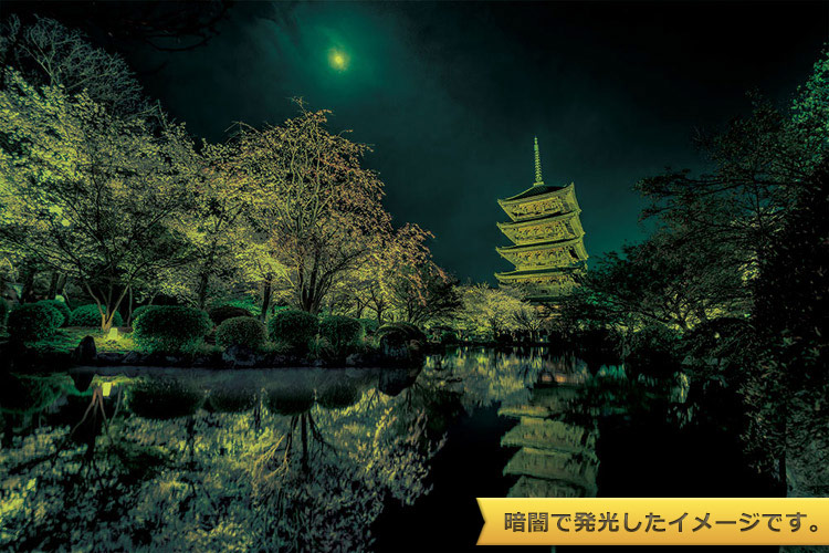 YAM-10-1299　KAGAYA　月夜に咲く（京都）　1000ピース　ジグソーパズル　［CP-MO］［CP-NI］