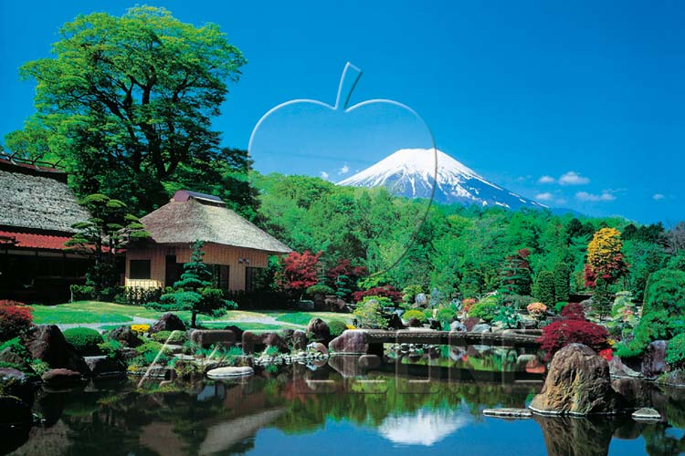 APP-1000-299　風景　忍野村から鏡富士　1000ピース　ジグソーパズル
