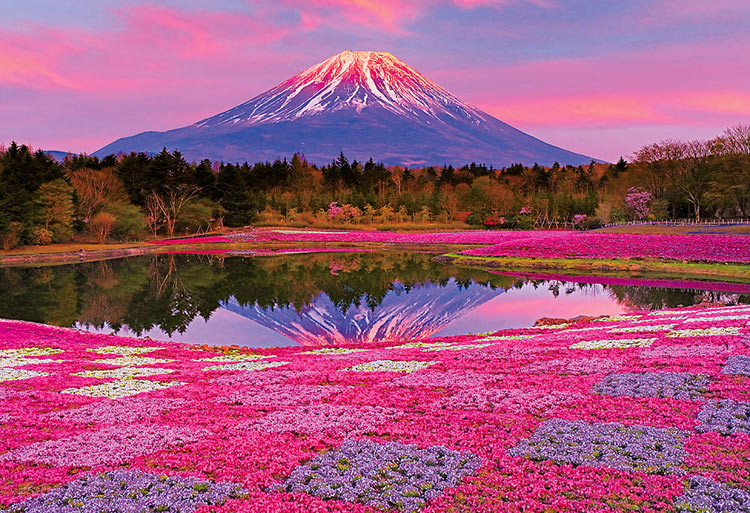 夕陽に染まる富士（風景）　1000ピース　ジグソーパズル　BEV-M81-597　［CP-NI］［CP-FJ］