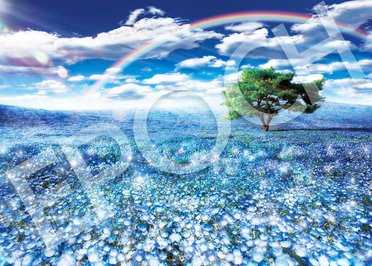 EPO-05-201s　風景　ネモフィラと幸運の虹　500ピース　ジグソーパズル