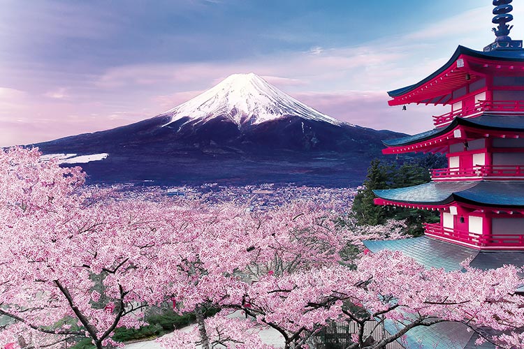 五重塔から望む桜富士−山梨（風景）　1000ピース　ジグソーパズル　EPO-10-787　［CP-NI］［CP-FJ］