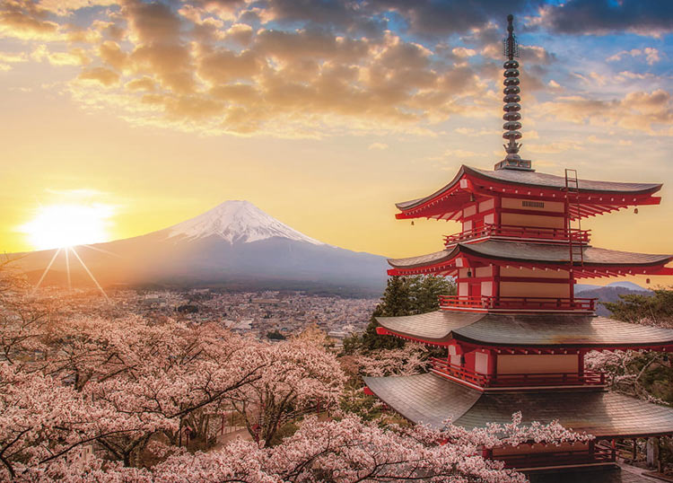 春暁の富士山と桜 （山梨）（風景）　500ピース　ジグソーパズル　YAM-05-1023　［CP-NI］［CP-FJ］