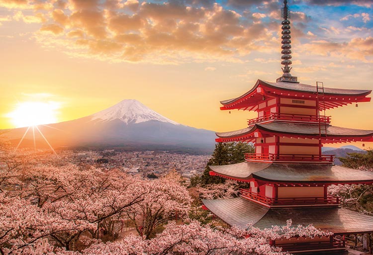 YAM-13-05　風景　春暁の富士山と桜 (山梨)　1000ピース　ジグソーパズル