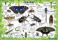 APO-25-176　ピクチュアパズル　日本の昆虫　35ピース　ピクチュアパズル　［CP-CH］
