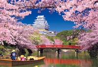 BEV-M81-587　風景　桜彩る姫路城　1000ピース　ジグソーパズル
