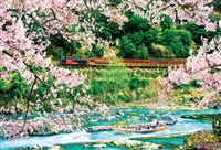 桜の保津峡（風景）　300ピース　●予約　ジグソーパズル　BEV-300-007
