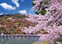 EPO-05-116　風景　渡月橋の満開桜-京都　500ピース　ジグソーパズル