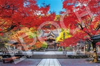 EPO-09-024s　風景　修禅寺の美しい秋 -静岡　1000ピース　ジグソーパズル