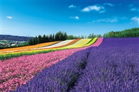 EPO-10-800　日本の風景　彩りの丘-北海道　1000ピース　ジグソーパズル