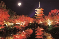 EPO-10-802　日本の風景　秋の東寺　五重塔−京都　1000ピース　ジグソーパズル　［CP-MO］［CP-NI］