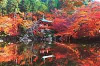 EPO-10-813　風景　醍醐寺の秋 -京都　1000ピース　ジグソーパズル