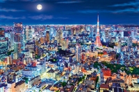 EPO-12-514s　風景　煌めく東京の夜-東京　1000ピース　ジグソーパズル