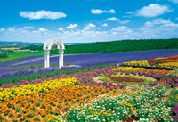 EPO-25-081　風景　花の咲く丘-富良野　300ピース　ジグソーパズル