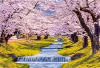 EPO-25-177　風景　桜の観音寺川-福島　300ピース　ジグソーパズル