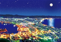 EPO-28-027　風景　輝く 函館-北海道　300ピース　ジグソーパズル