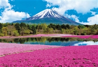EPO-31-002　風景　芝桜と富士-山梨　1053スーパースモールピース　ジグソーパズル