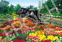 EPO-31-039　風景　五連水車と花咲く公園-富山　1053ピース　ジグソーパズル