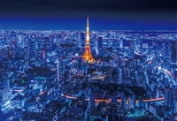 EPO-71-806　風景　Art Puzzle Collection 青の世界　東京夜景　300ピース　ジグソーパズル　［CP-NI］