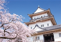 EPO-79-055　日本の城と桜　小田原城-神奈川　300ピース　ジグソーパズル