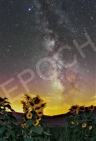 EPO-79-486　風景　天の川　銀河に眠るひまわり　1053ピース　ジグソーパズル　［CP-SU］