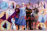 Frozen 2 Collection (Frozen 2 コレクション） （アナと雪の女王）（ディズニー）　1000ピース　ジグソーパズル　EPO-97-005　［CP-PZ］