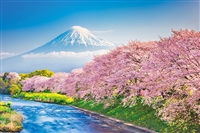 YAM-10-1387　風景　春爛漫の桜並木と富士山（静岡）1000ピース　ジグソーパズル