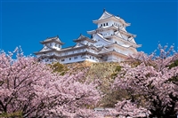 YAM-10-1411　風景　千の桜と姫路城（兵庫）　1000ピース　ジグソーパズル　［CP-NI］