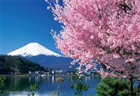 YAM-01-2068　日本の風景　桜と富士（山梨）　108ラージピース　ジグソーパズル