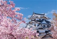 国宝彦根城と桜木（滋賀）（風景）　108ピース　ジグソーパズル　YAM-01-2087