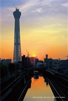 YAM-98-538　風景　東京スカイツリー 夕陽を臨む　204ピース　ジグソーパズル