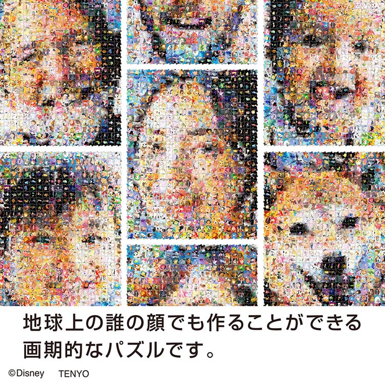 Ten Dj5 004 ジガゾーパズル ディズニー ピクサー キャラクターズ 5ピース テンヨー の商品詳細ページです 日本最大級のジグソーパズル通販専門店 ジグソークラブ