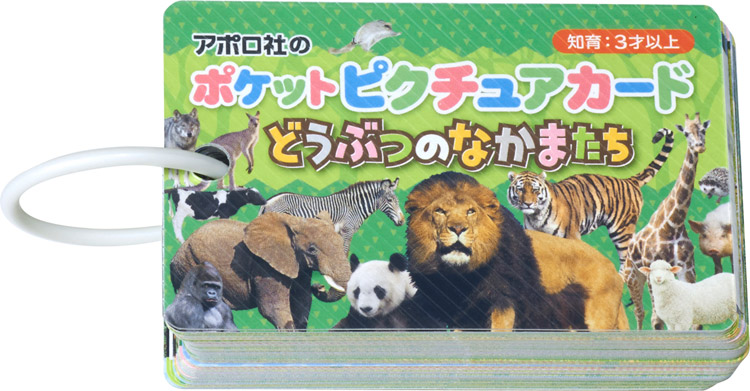 どうぶつのなかまたち　　APO-08-305 5.5×8.5ｃｍ