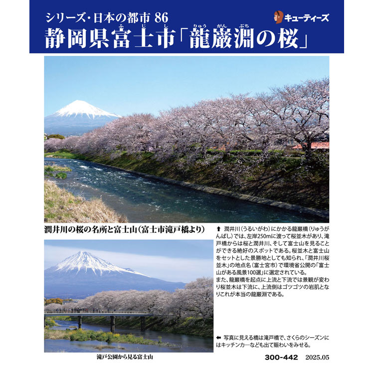 静岡県富士市「龍巌淵の桜」 （国内風景）　300ピース　ジグソーパズル　CUT-300-442 26×38cm