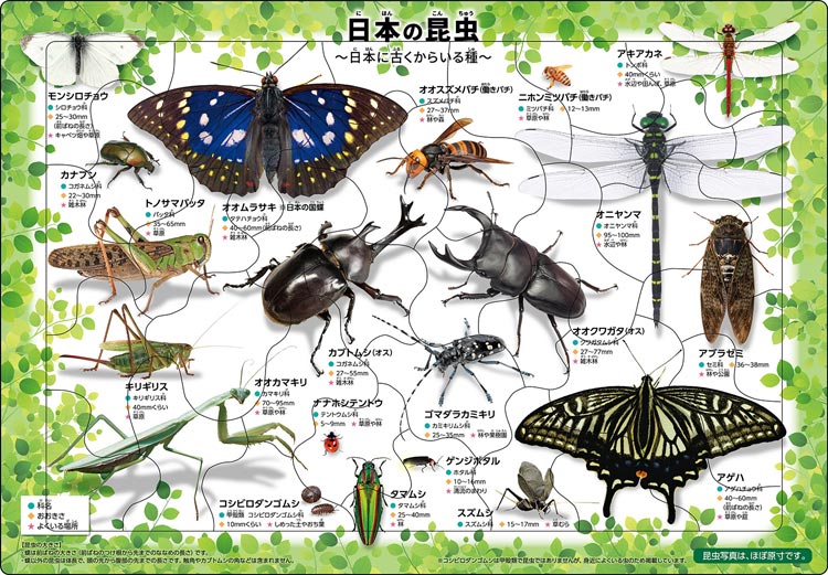 APO-25-176　ピクチュアパズル　日本の昆虫　35ピース　ピクチュアパズル