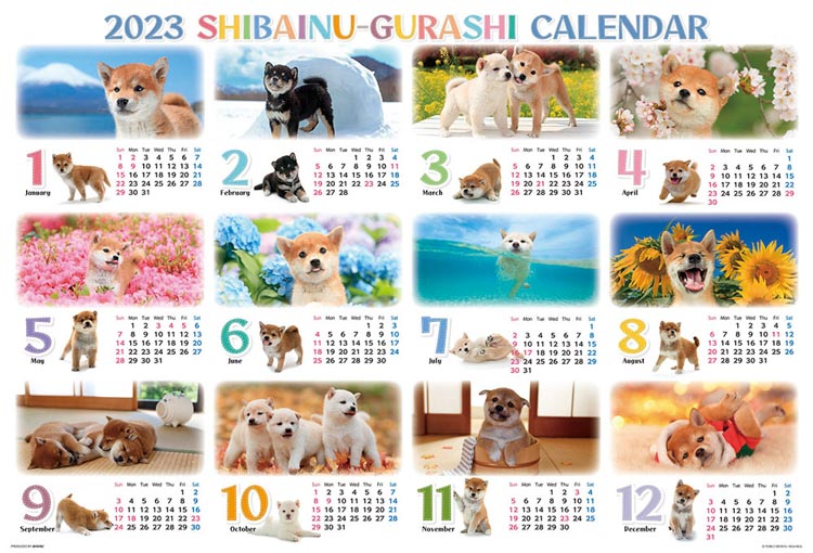 柴犬ぐらしカレンダー2023 （ペット・動物）　1000ピース　ジグソーパズル　BEV-31-542　［CP-LE］