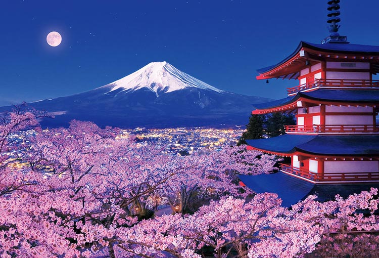 富士と夜桜咲く浅間神社（風景）　1000ピース　ジグソーパズル　BEV-51-276　［CP-FJ］