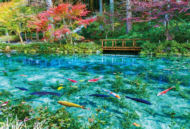 色彩輝くモネの池（風景）　1000ピース　ジグソーパズル　BEV-51-293