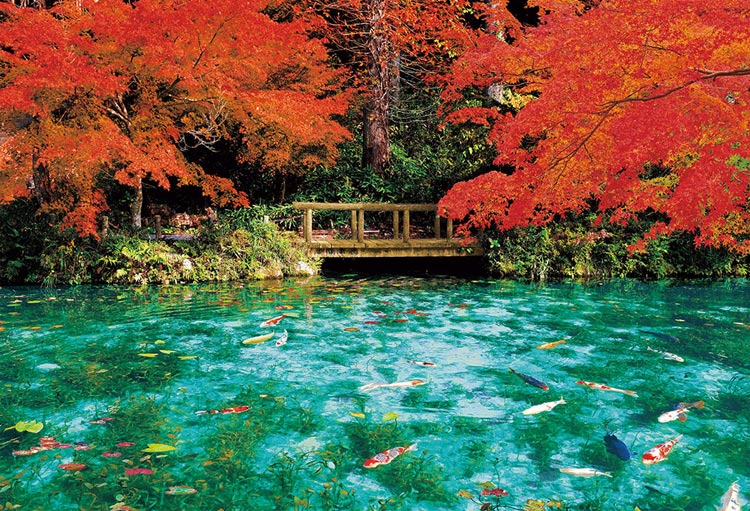 秋色に彩るモネの池（風景）　1000ピース　ジグソーパズル　BEV-51-300