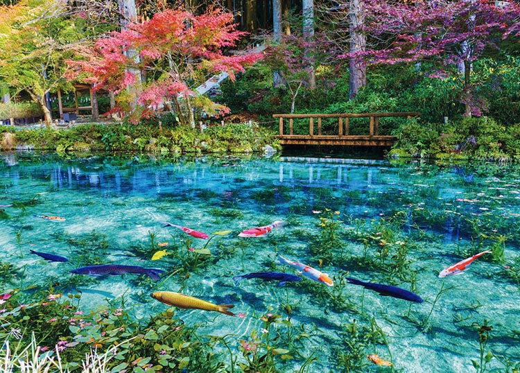 色彩輝くモネの池（風景）　600ピース　ジグソーパズル　BEV-66-218
