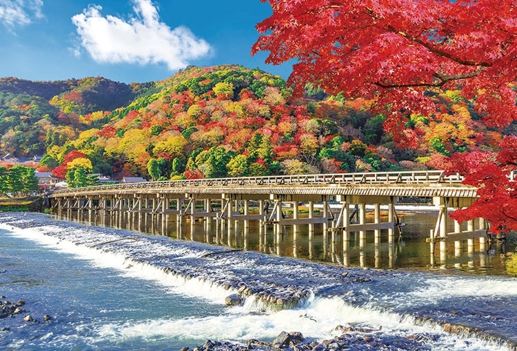 秋に染まる渡月橋　1000ピース　ジグソーパズル　●予約　BEV-1000-178 49×72cm