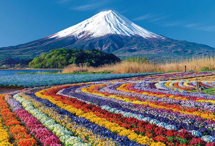 富士を望む花色絨毯 1000ピース ジグソーパズル ●予約 BEV-1000-187 49×72cm