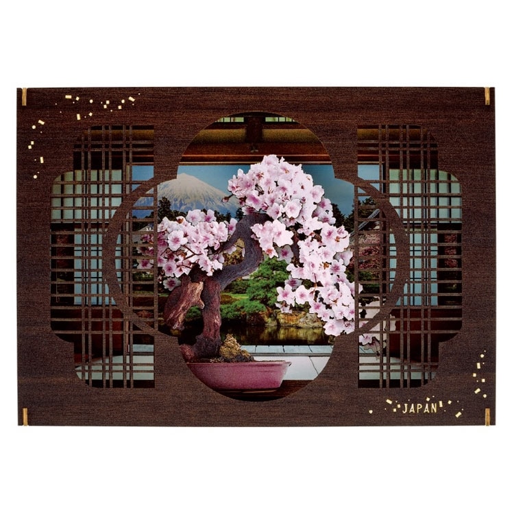 SAKURA-匠- ●予約 ENS-PT-WP10 H182×W257×D51mm