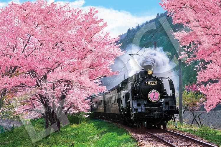 桜と大井川鐵道-静岡 （風景）　1000ピース　ジグソーパズル　EPO-09-020s　［CP-SA］