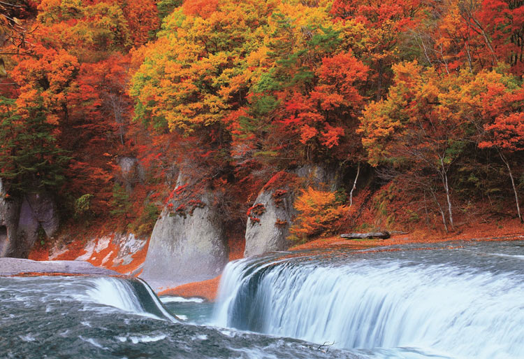 紅葉の吹割の滝−群馬 （風景）　300ピース　ジグソーパズル　EPO-25-170　［CP-JP］