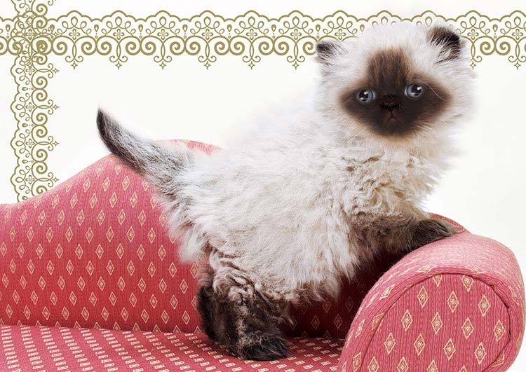 ヒマラヤン　108ピース　ジグソーパズル　EPO-71-354　［CP-CA］ 18.2×25.7cm