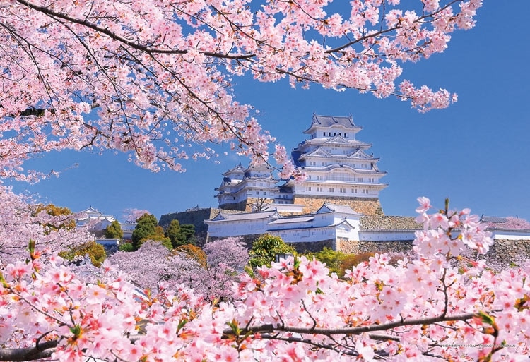 桜重なる姫路城（兵庫） （国内風景）　300ピース　ジグソーパズル　●予約　YAM-03-965 26×38cm