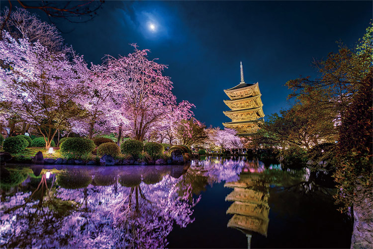 月夜に咲く（京都） （風景）　1000ピース　ジグソーパズル　YAM-10-1299　［CP-SA］