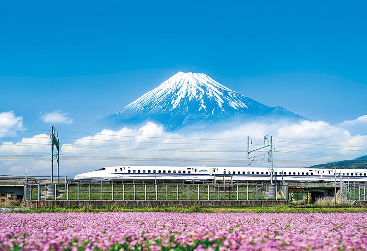 れんげの花と富士山(静岡)（風景）　500ピース　ジグソーパズル　YAM-35-26　［CP-FJ］